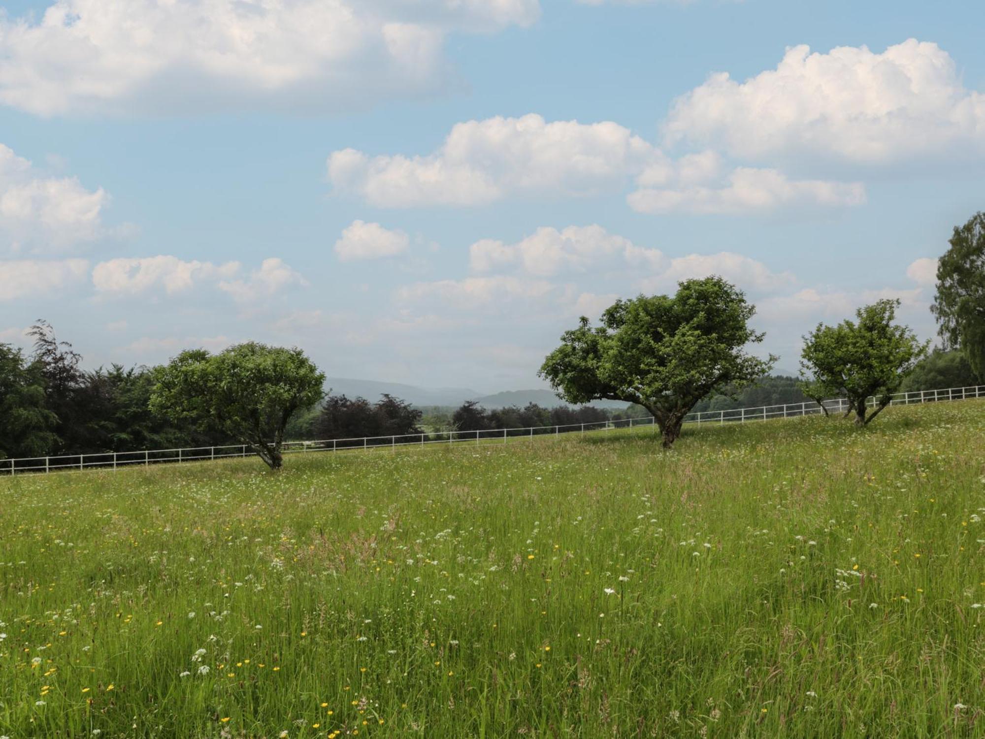 Fordie East * Crieff